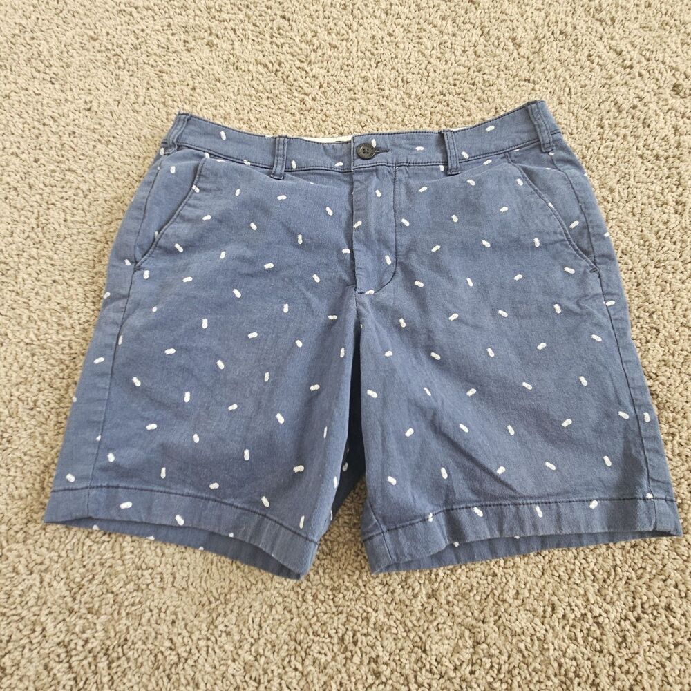 Hollister Flat Front Shorts Epic Flex Shorts Men's Size 32 Pineapple Preppy 7"